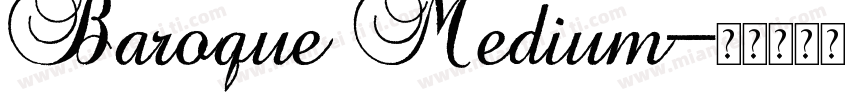 Baroque Medium字体转换